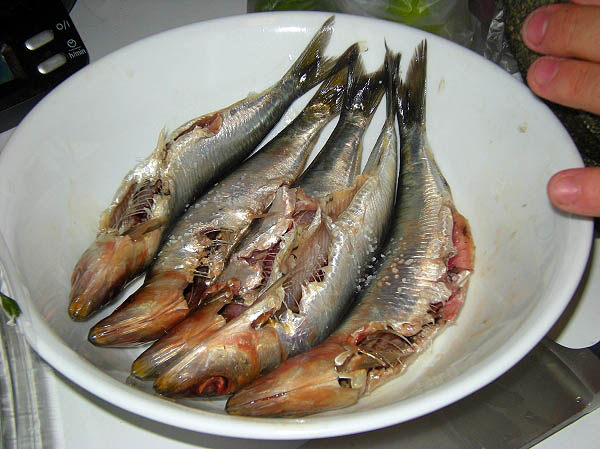 Prepped Sardines